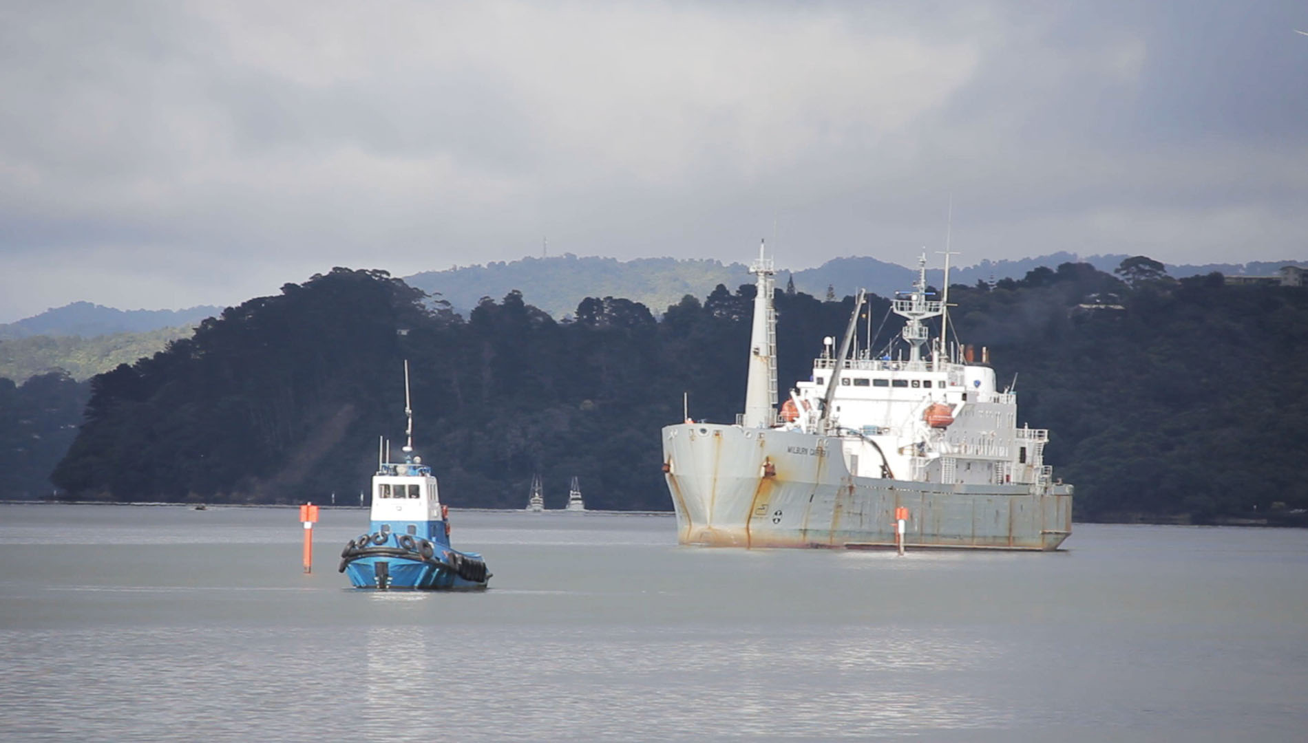 Milburn Carrier II